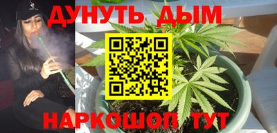 spice Гусь-Хрустальный