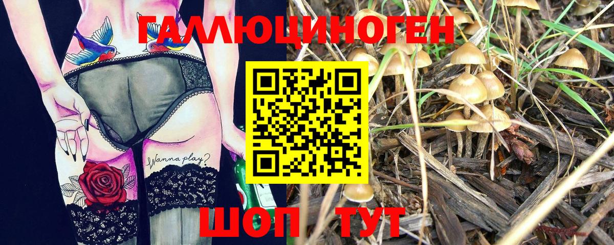 Псилоцибиновые грибы ЛСД  Псилоцибиновые грибы Cubensis  Краснодар  где купить наркотик  Вход с VPN 