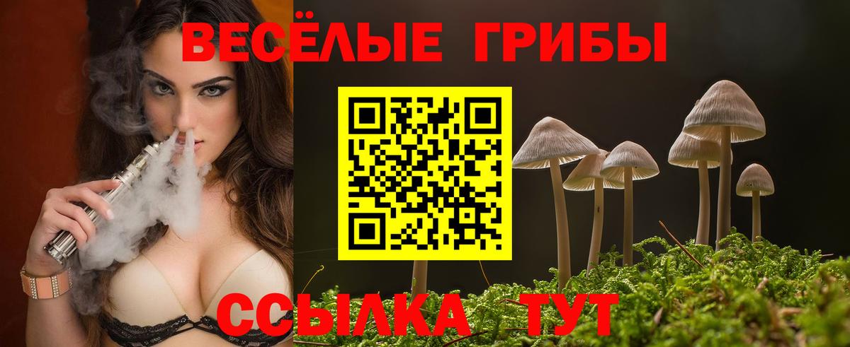 Галлюциногенные грибы Psilocybe Краснодар